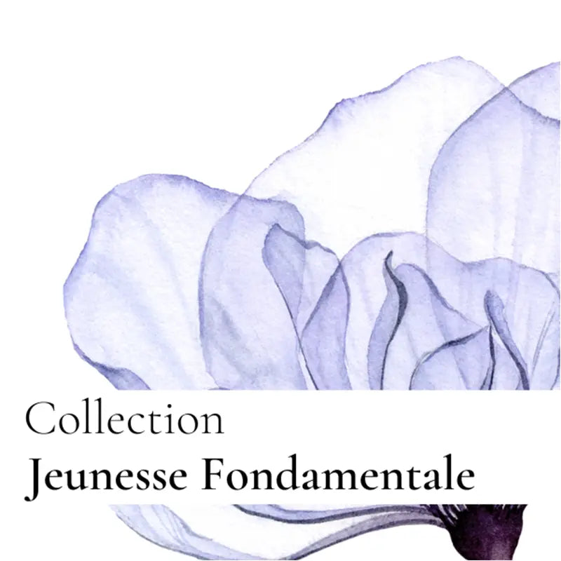 La crème fondamentale - Formule riche ラ クレーム フォンダモンタル リッシュ フェイスクリーム