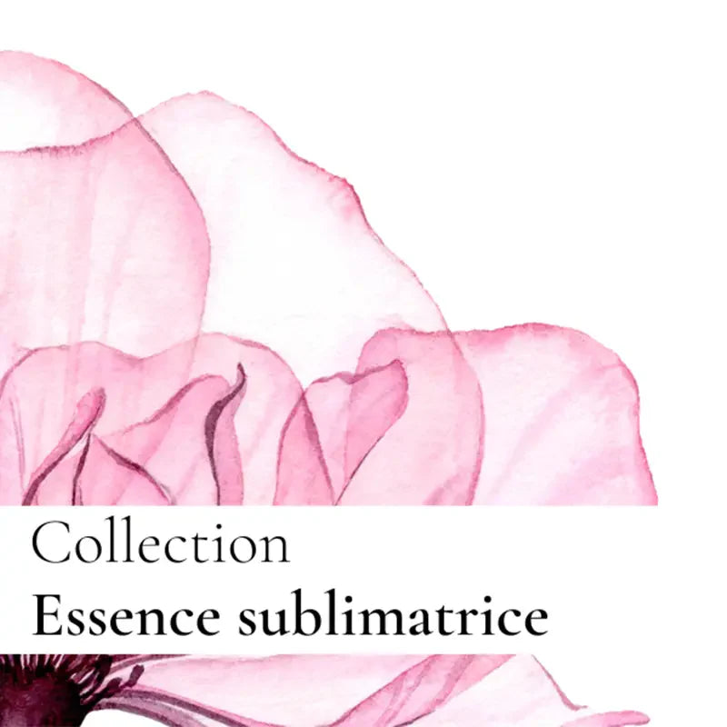 La crème sublimatrice - Formule initiale　　ラ クレーム スブリマトリス イニシャル フェイスクリーム